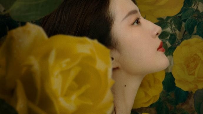 《玫瑰的故事》随想——女性的追求