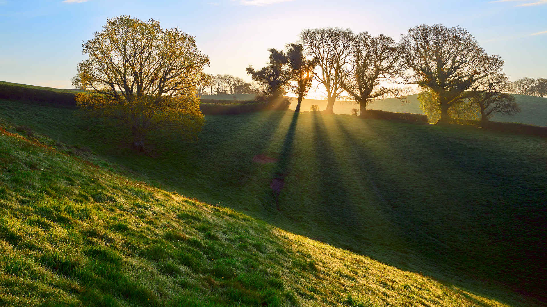 对于直播的一些思考