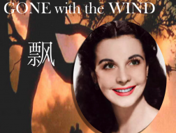 关于感情和遗憾